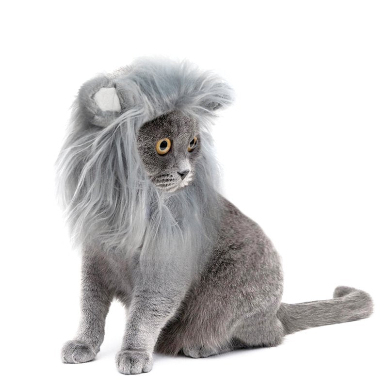 Grey Lion Mane Wig for Cats - Small Size Halloween & Christmas Costume Accessory
