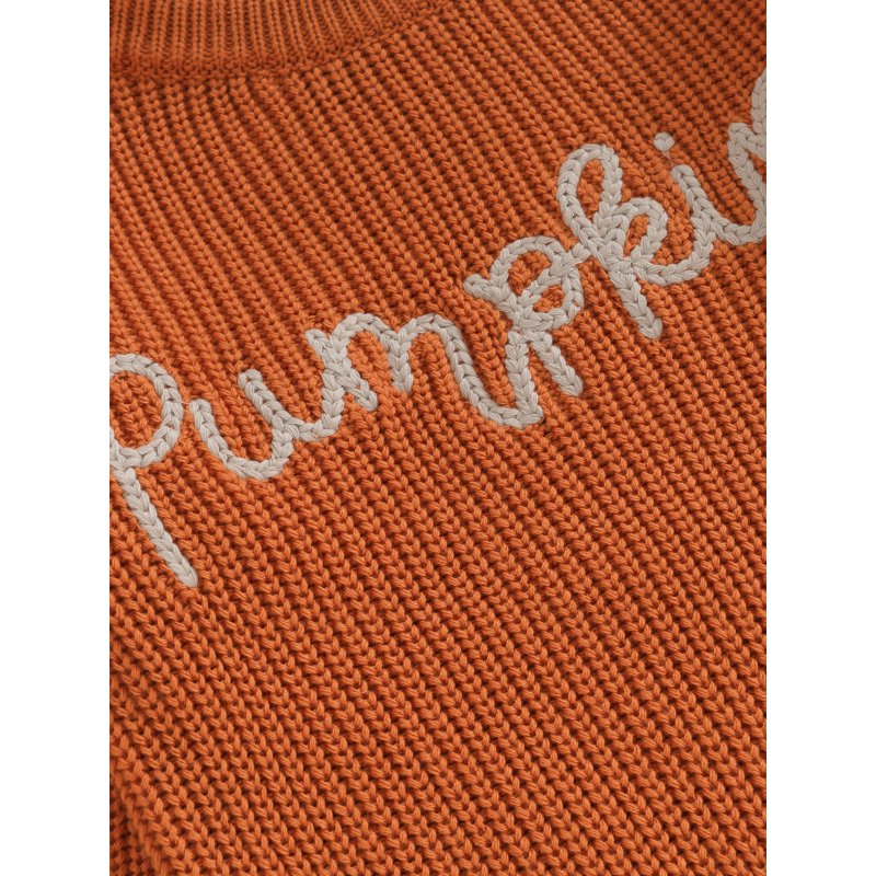 Toddler Baby Girl Boy Knit Sweater - Style 1, 6-9 Months, Long Sleeve Embroidered Pullover for Autumn Winter