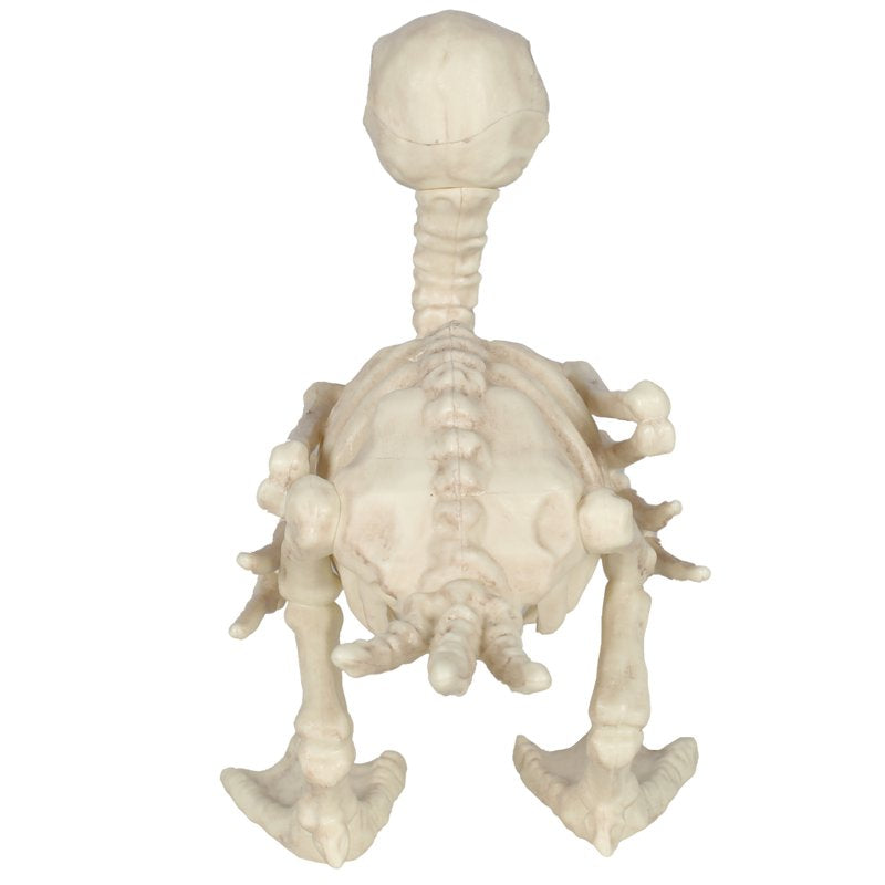 Halloween Skeleton Baby Duck Decoration - Whimsical Bone Line Halloween Decor