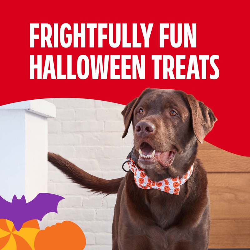 Halloween Dog Treats - Spooky Biscuits with Vitamins & Tartar Control, 24 oz Pail