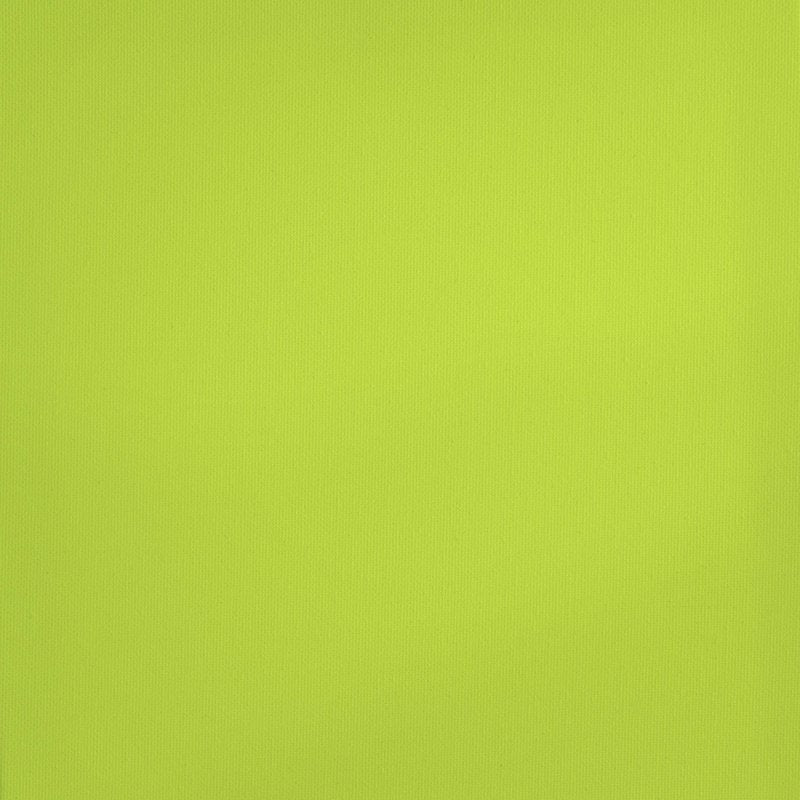 Acrylic Artist Paint - Bright Yellow Green, 120ml, Versatile & Highly Pigmented