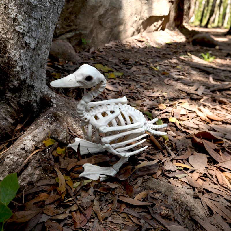 Halloween Skeleton Baby Duck Decoration - Whimsical Bone Line Halloween Decor