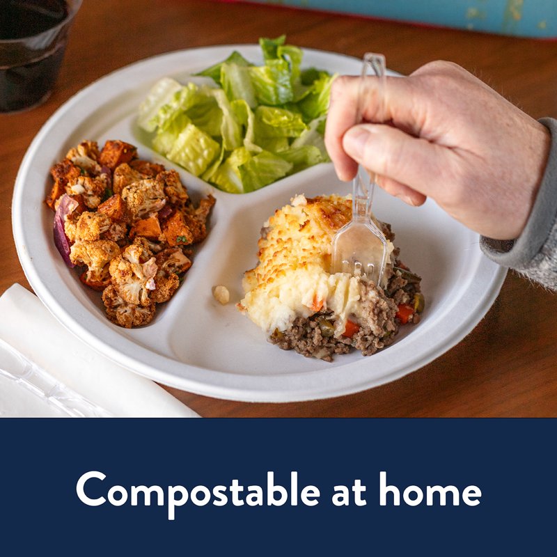 Premium Disposable Paper Compartment Dinner Plates - 32 Count