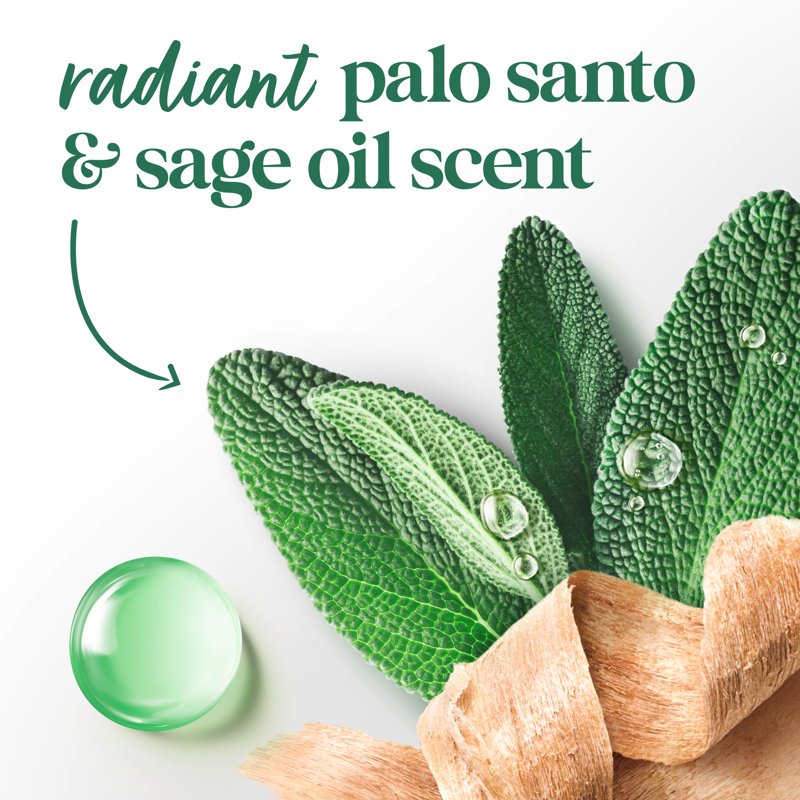 Advanced Care Antiperspirant Stick, Palo Santo & Sage, 2.6 oz