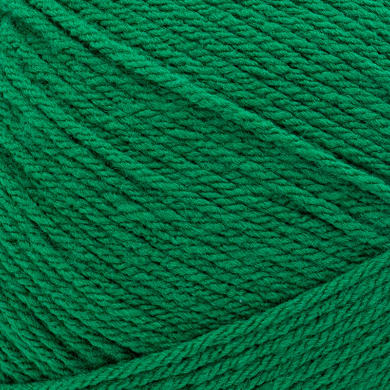 Lion Brand Pound of Love Worsted Yarn - Wintergreen, 16 oz, 1020 Yards, Medium 4