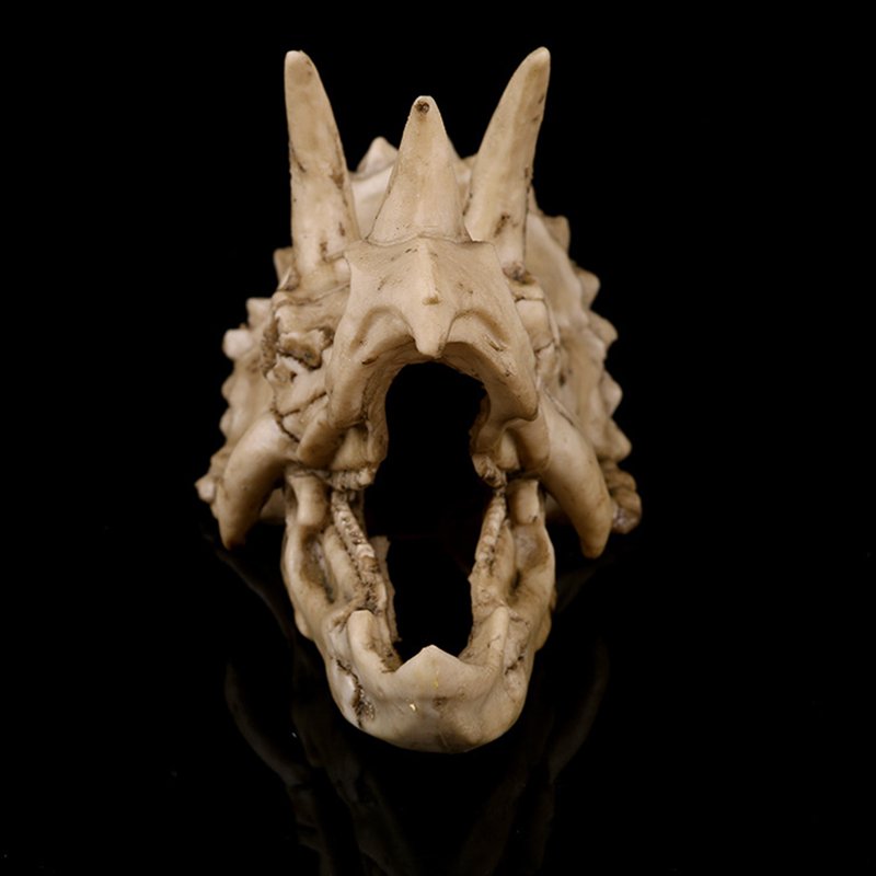 Dinosaur Skull Resin Model - Triceratops Fossil Skeleton Collectible Decor