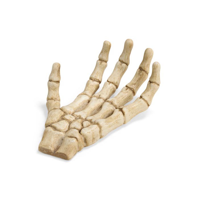 Large Halloween Skeleton Claw Reptile Habitat Hideaway - White