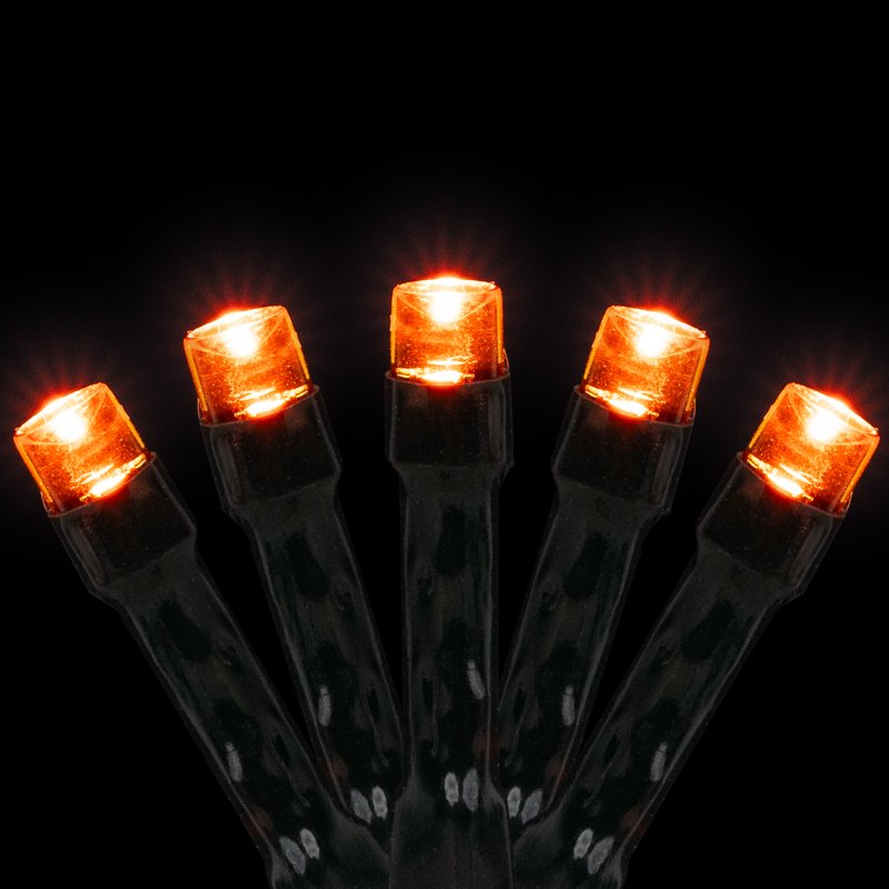 LED Halloween String Lights - 10 Feet Orange Battery-Operated Decor