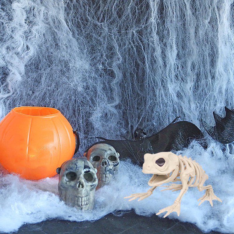 Frog Skeleton Decoration - Realistic Animal Bone Model for Halloween & Education, 5.1 Inch White Plastic