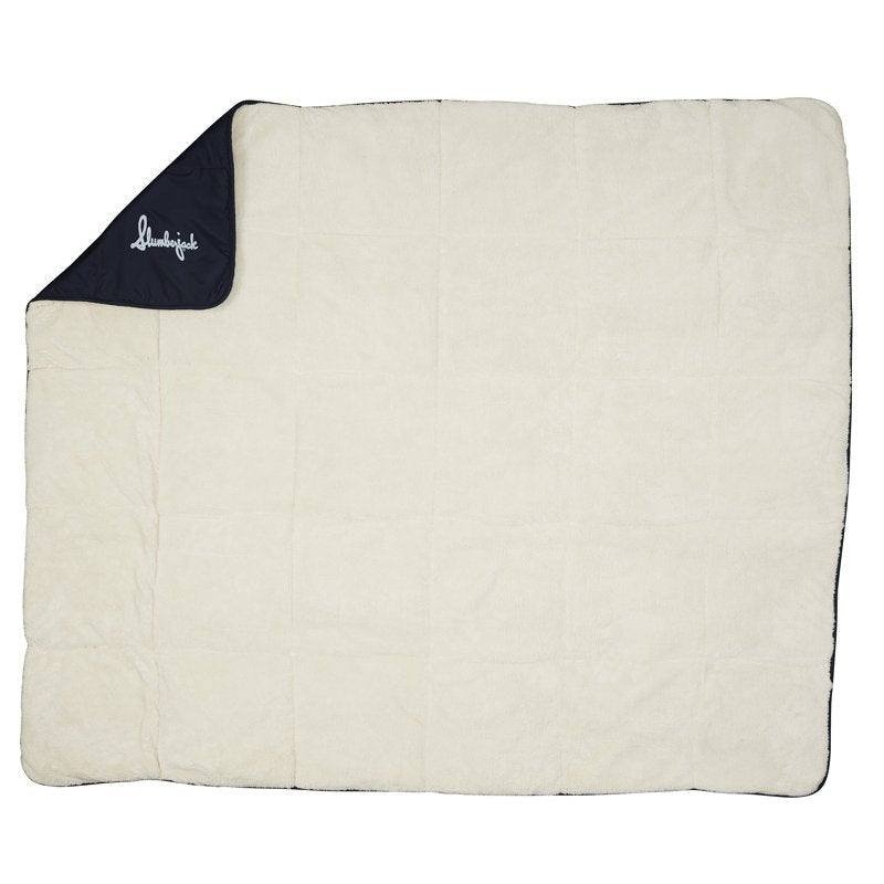 Insulated Indoor Outdoor Blanket - Sherpa Fleece, 60x70 Inches, Blue