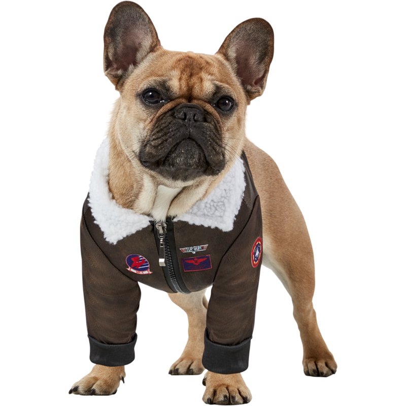 Top Gun Pet Costume for Dogs & Cats - Small 10-12 Inch Bomber Jacket