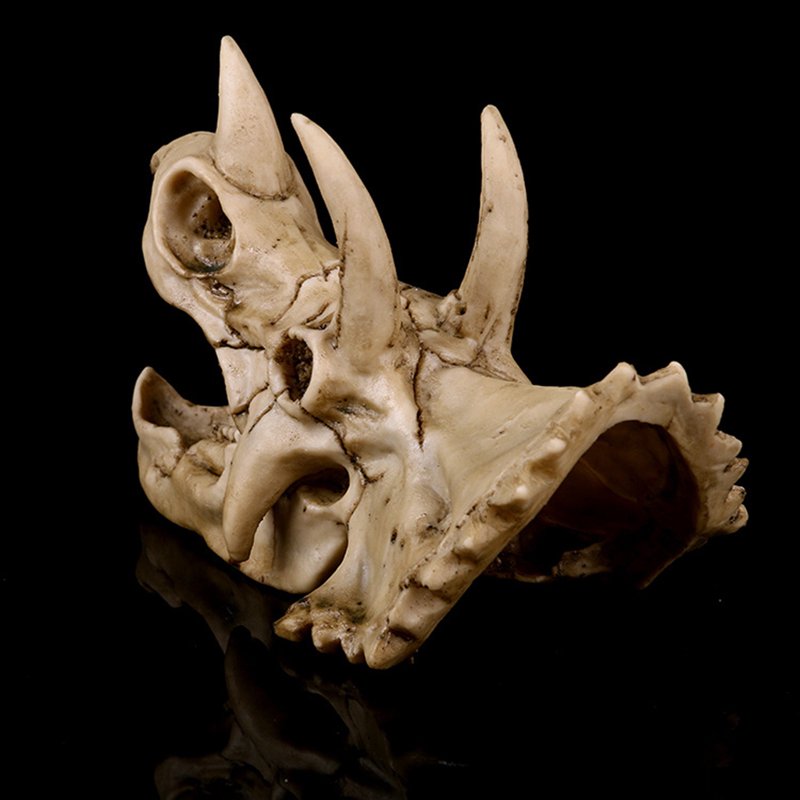 Dinosaur Skull Resin Model - Triceratops Fossil Skeleton Collectible Decor