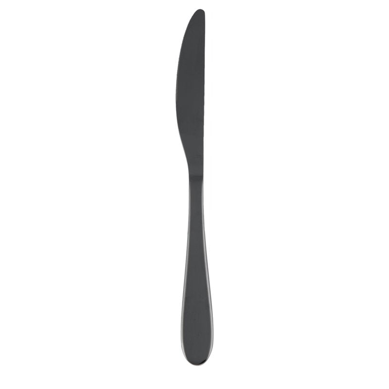 Stainless Steel Dinner Knife - Black, 4 Pack - Cambridge Byram