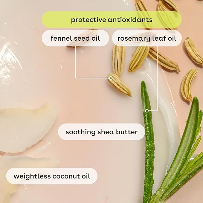 Natural Shea Butter Lip Balm Variety Pack - Seaside Spritz 4-Pack
