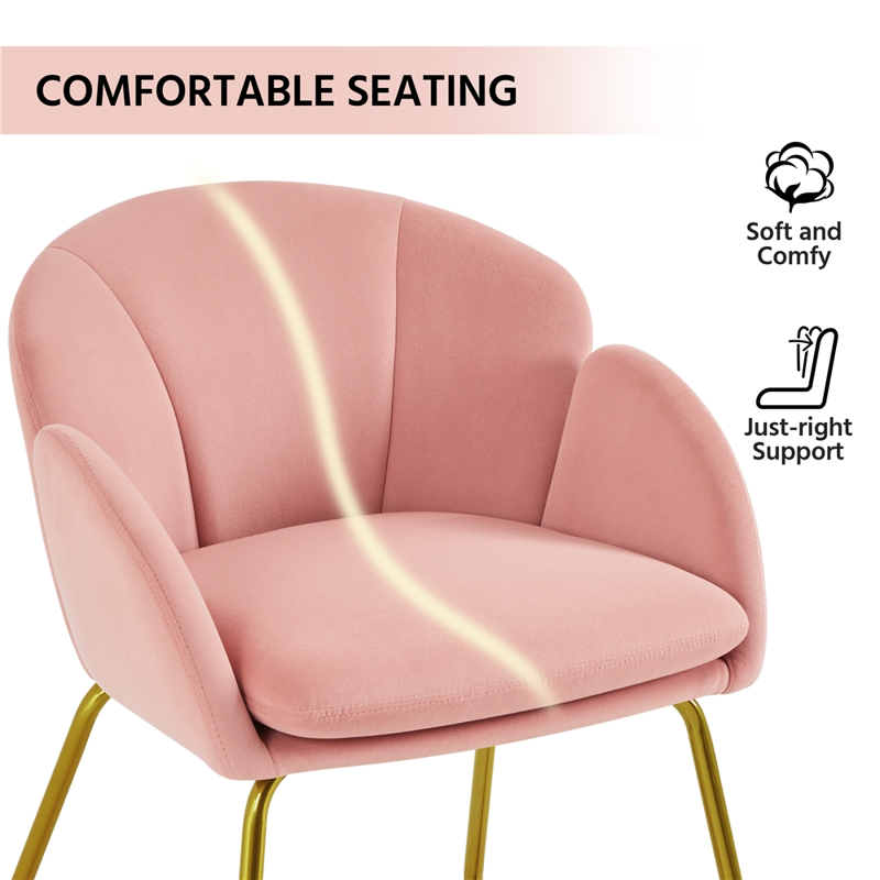 Pink Velvet Armchair Set with Gold Metal Legs - 2 Pieces