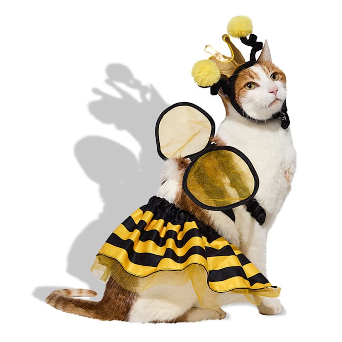 Petco Queen Bee 3-Piece Pet Halloween Costume Small - Bumblebee Wings, Crown & Tutu