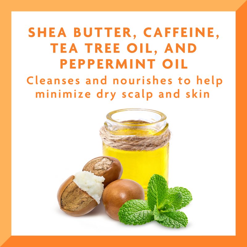 2-in-1 Hair & Body Wash with Shea Butter & Tea Tree Oil - 13.5 fl oz