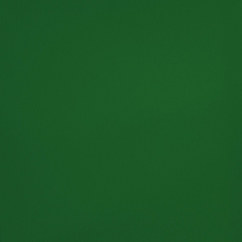 Acrylic Artist Paint - Dark Green, 120ml, Highly Pigmented, Versatile Craft Paint