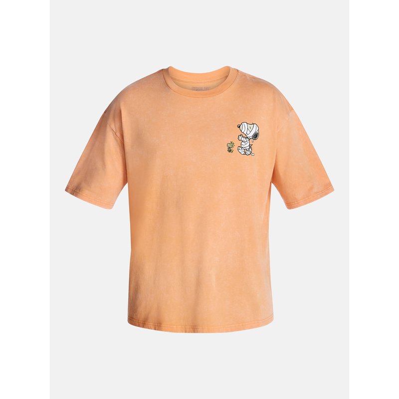 Halloween Snoopy Peanuts Graphic Tee for Men & Big Men - Orange Wash 5XL