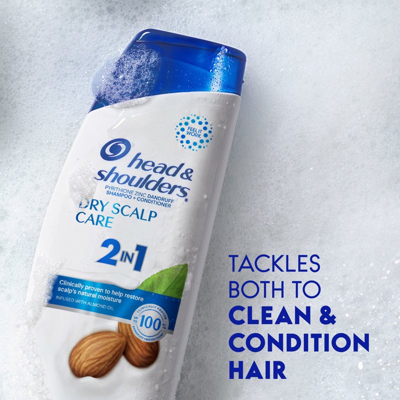Dandruff Shampoo and Conditioner 2-in-1 - Dry Scalp Care, 8.45 oz