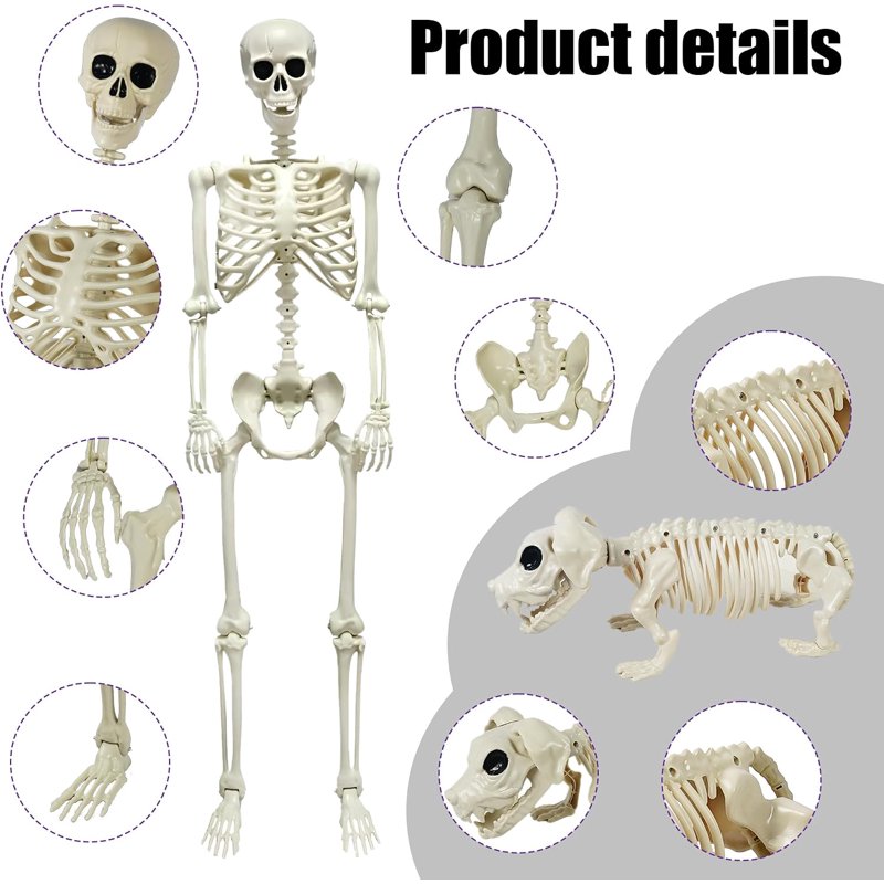 Halloween Skeleton Set – 2 Pcs Posable Human & Dog Skeleton Decorations Indoor Outdoor