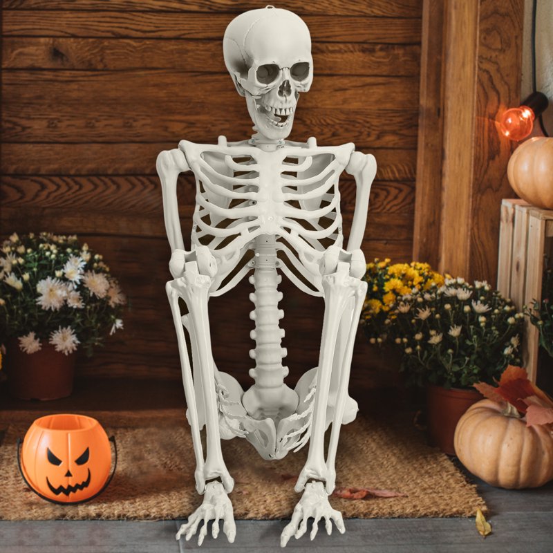 Life-Size Poseable Skeleton Prop for Halloween and Decorations - 5.4ft