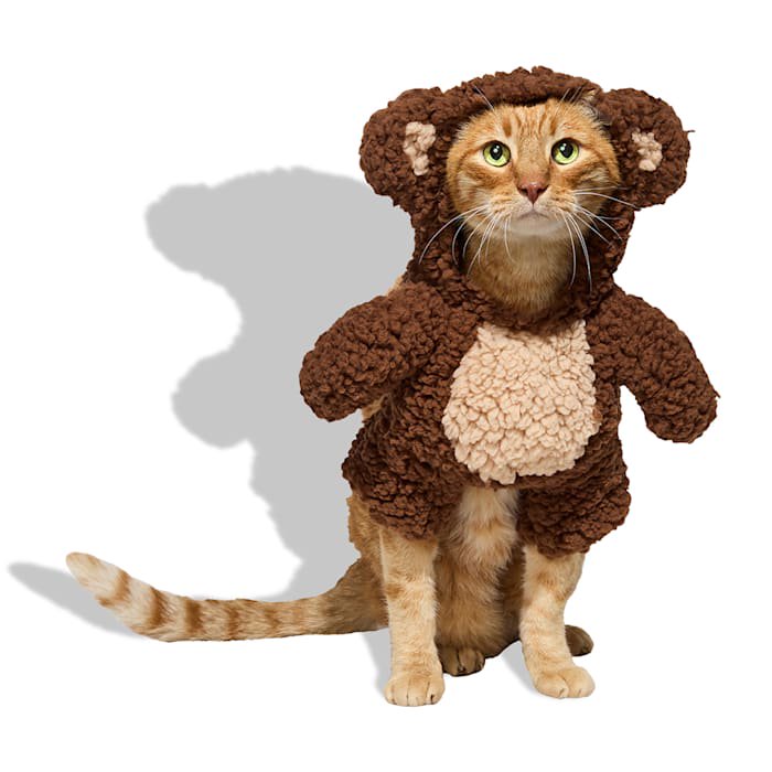 Petco Teddy Bear Illusion Pet Halloween Costume Medium with Soft Sherpa