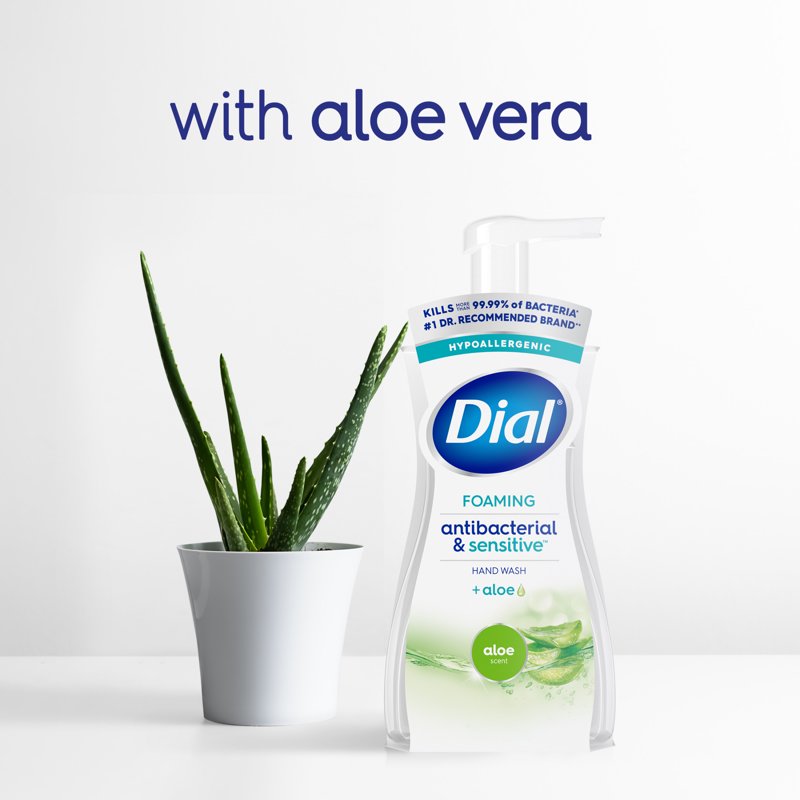 Antibacterial Foaming Hand Soap with Aloe - Hypoallergenic pH Balanced