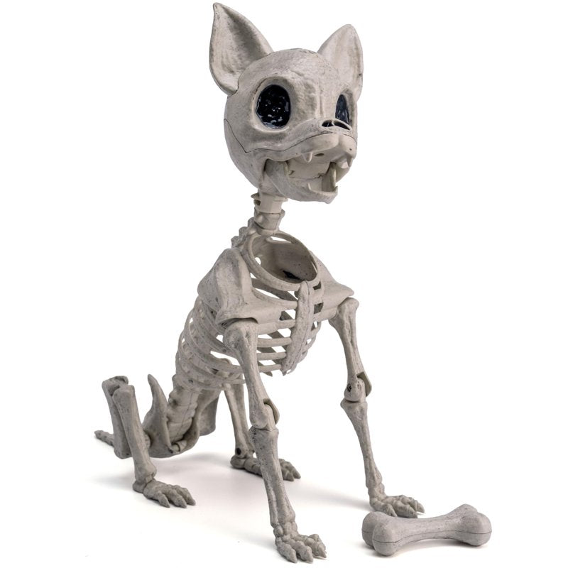 Halloween Plastic Dog Skeleton with Posable Joints - Spooky Dog Decor, 12.6 Inch - Indoor & Outdoor Decoration - Chihuahua Variation