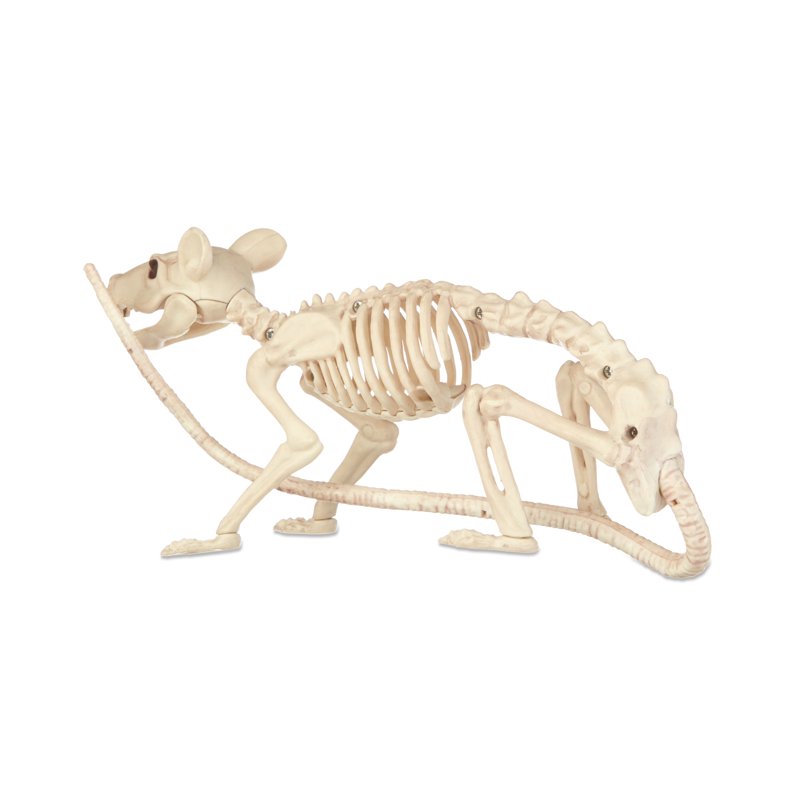 Faux Rat Skeleton Halloween Decor - Life Size, Movable Jaw & Bendable Tail - Crazybonez Variation of Rat