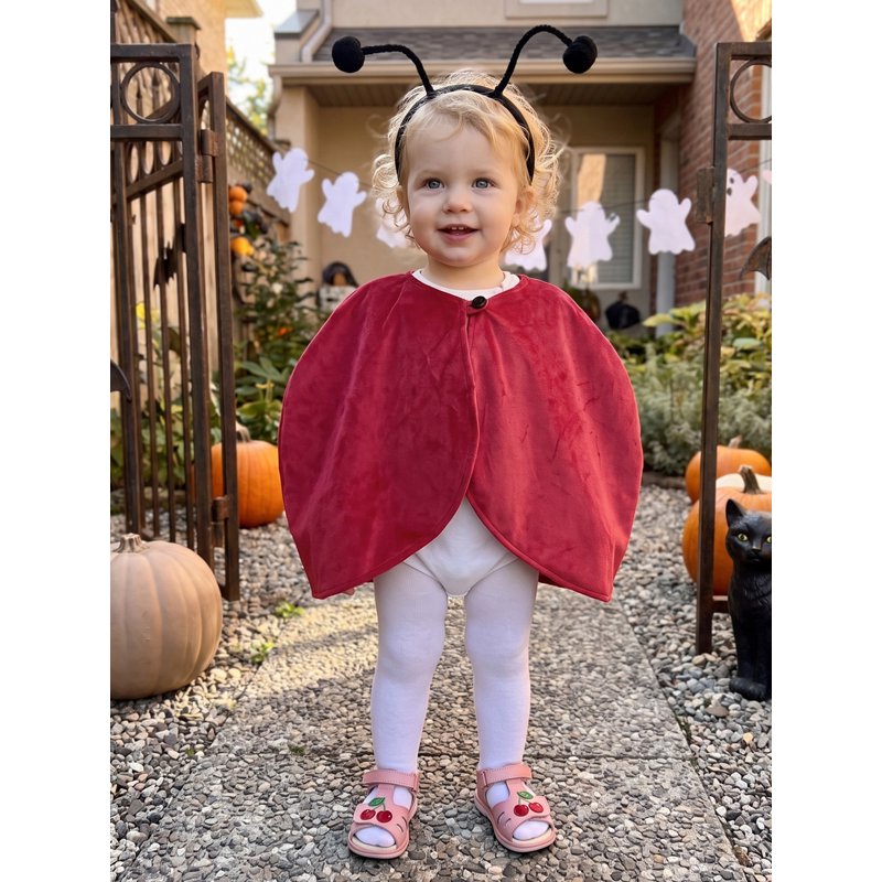 Toddler Girl Boy Ladybug Costume Set Red 2-3 Years Halloween Animal Outfit with Wings & Headband