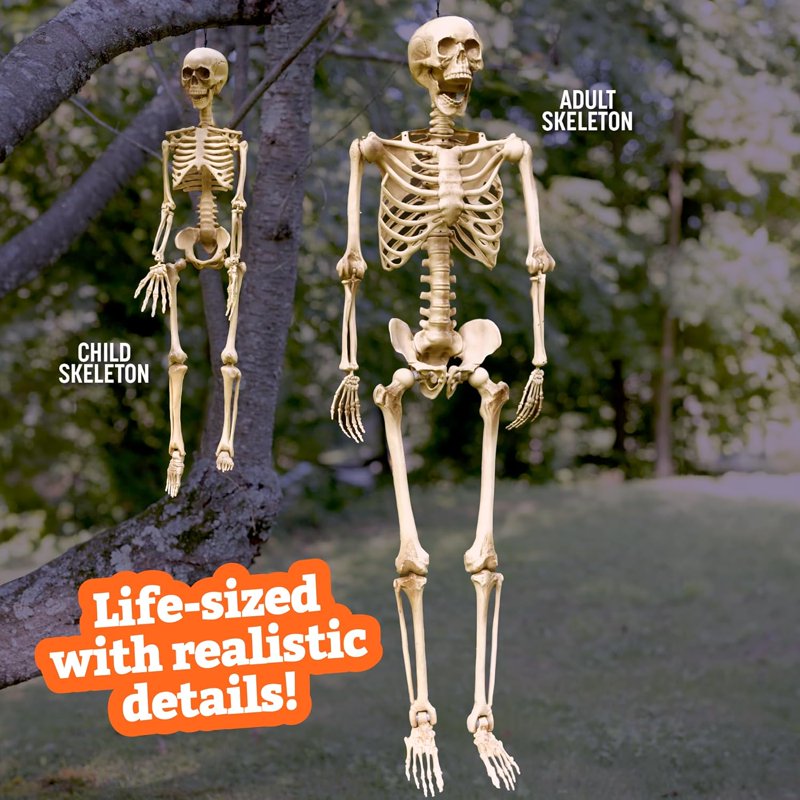 Life Size Halloween Skeleton Set - Adult 5'4" & Child 3' Indoor Outdoor Decor