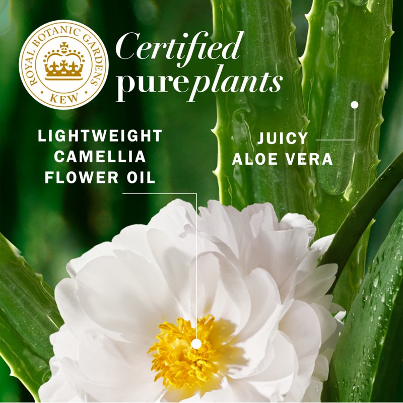 Lightweight Hair Oil with Aloe & Camellia Flower Oil - 3.2 fl oz