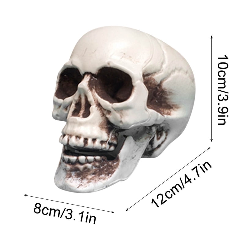 Realistic Halloween Skull Prop - Mini Human Skull Model for Spooky Decorations