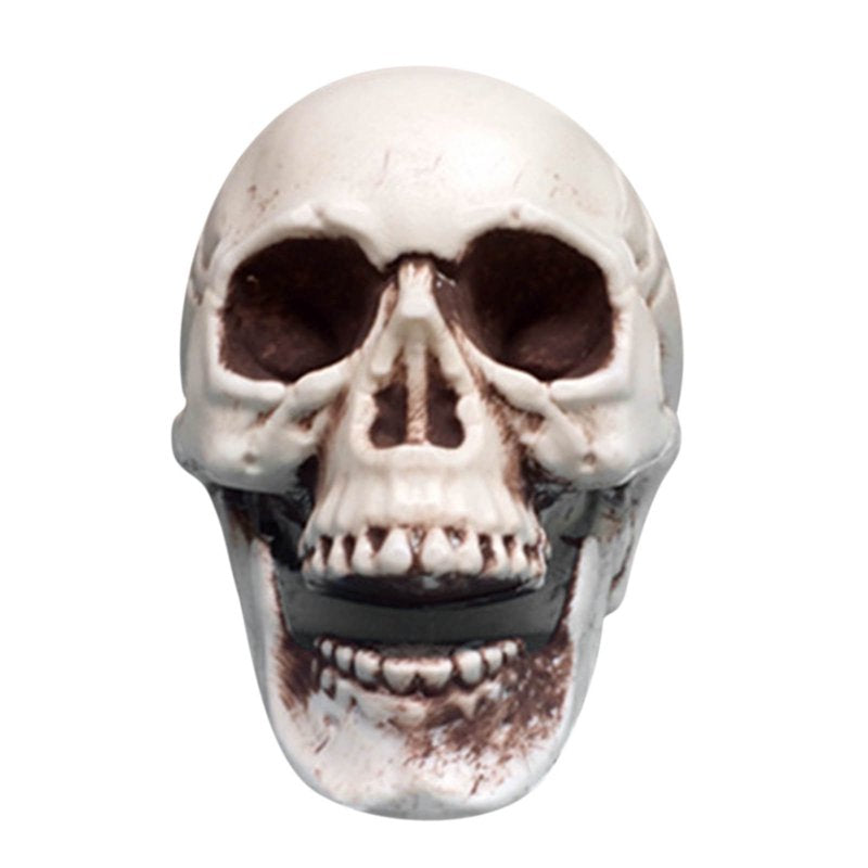 Realistic Halloween Skull Prop - Mini Human Skull Model for Spooky Decorations