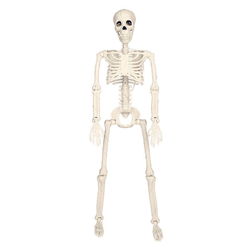 Halloween Skeleton Decorations Outdoor Skeleton Props Set - Dark Terror, Ghost House, Variation M-1