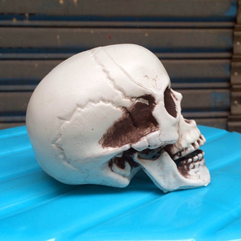 Realistic Halloween Skull Prop - Mini Human Skull Model for Spooky Decorations