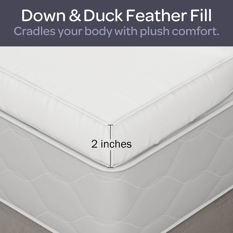 Full Size Duck Feather Mattress Topper 2-Inch with Cotton Cover - White