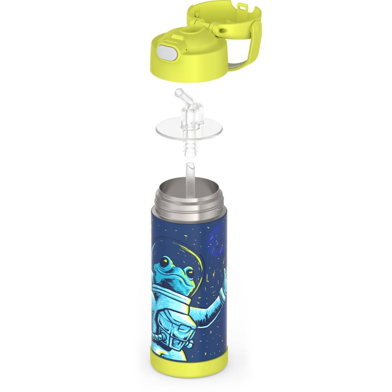 Kids Insulated Stainless Steel Water Bottle with Straw - Space Frog, 14 oz
