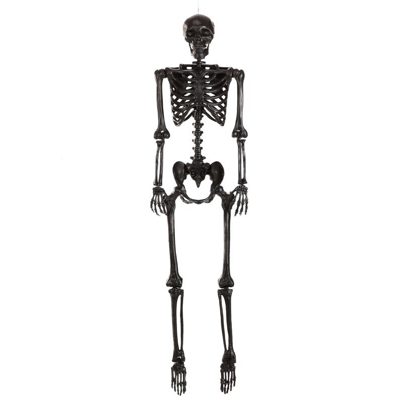 Poseable Black Skeleton Halloween Decoration - 5 Feet Tall, Adjustable Joints