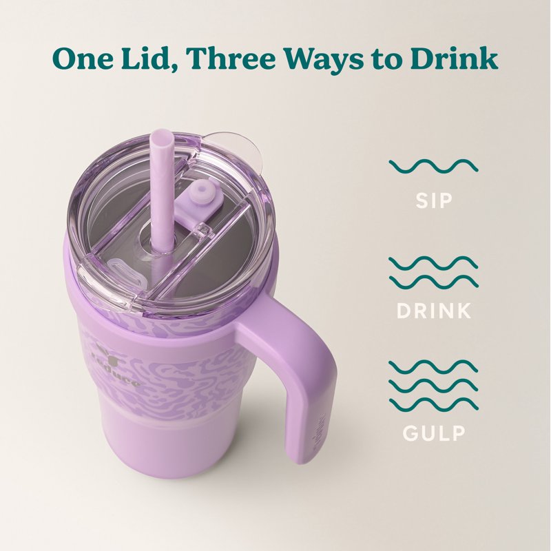24oz Insulated Stainless Steel Tumbler with Straw - Lavender