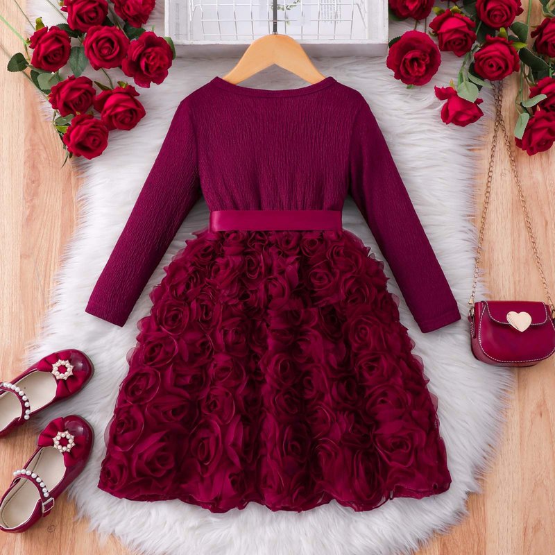 Toddler Girls Dress with 3D Rose Pattern Long Sleeve Tulle - Size 5-6 Years - Wine