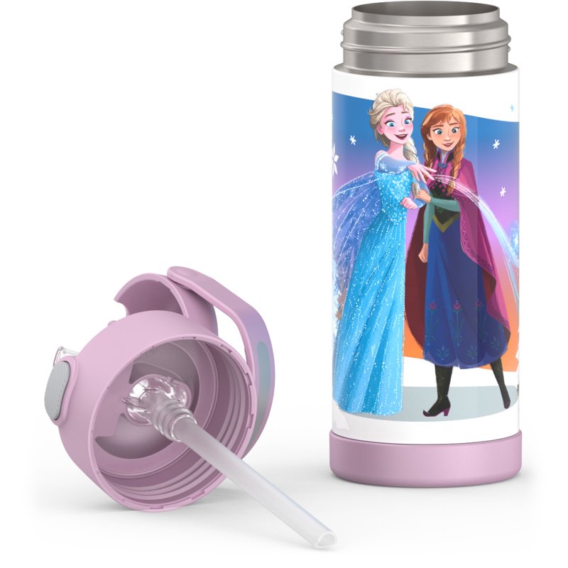 Kids Stainless Steel Funtainer Water Bottle with Straw - Frozen, 2 Pack