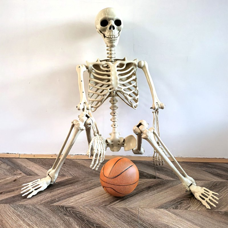 Life-Size Poseable Halloween Skeleton with Flexible Joints - L Variation Indoor/Outdoor Decor