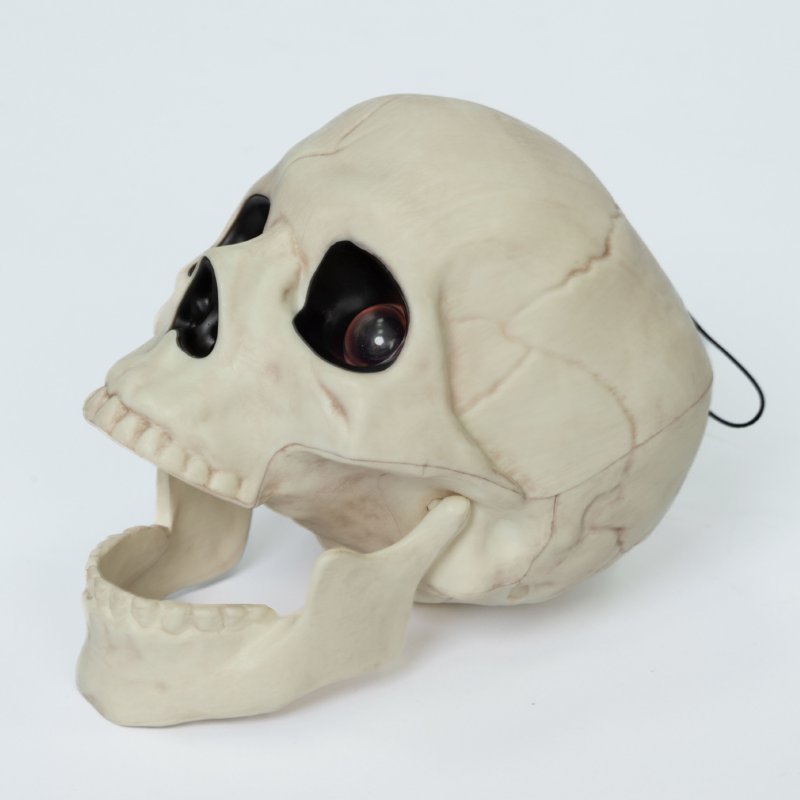 Halloween Skeleton Skull Decor with Sound & Light - 5.8 Inch, Indoor Outdoor