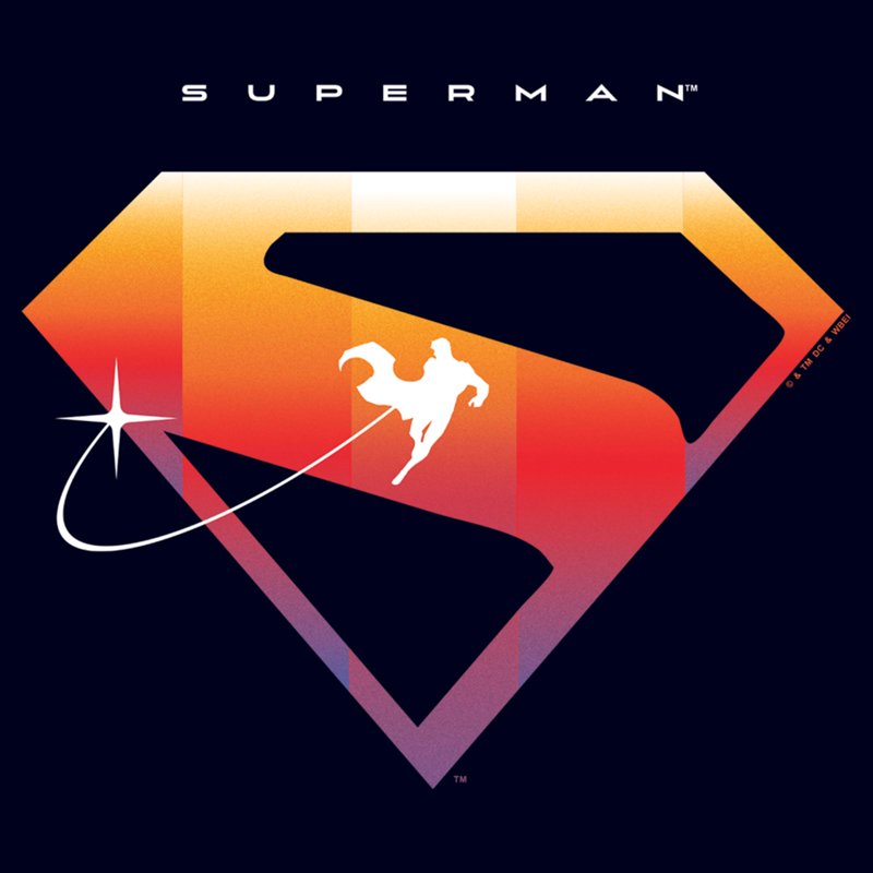 Men's Superman Logo T-Shirt Navy Blue Flight L - Superhero Tee