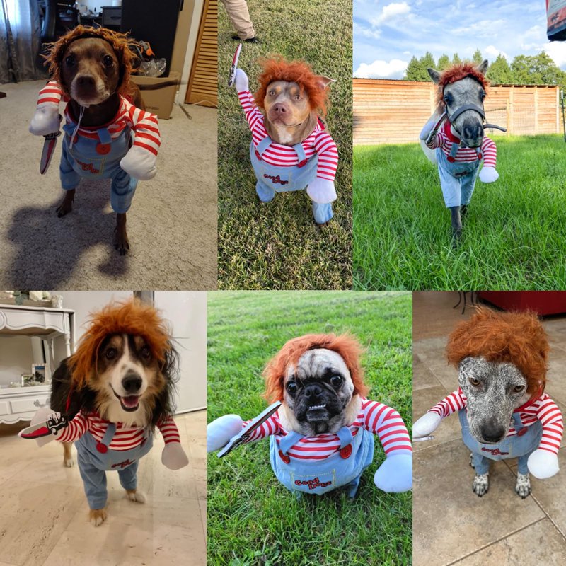 Pet Deadly Dog Costume Halloween Cosplay Outfit for Small to Large Dogs