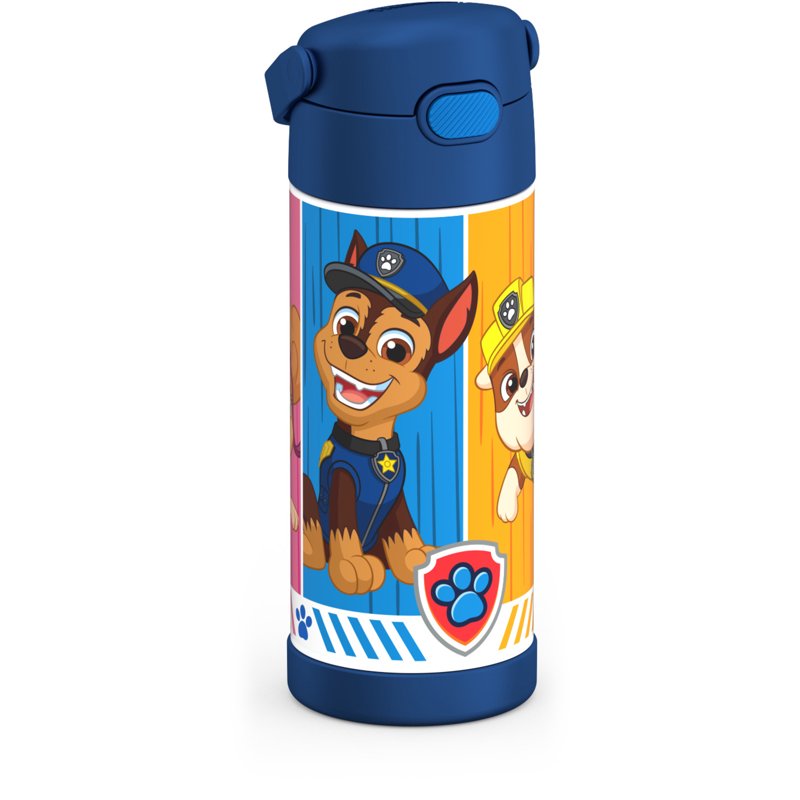 Kids Stainless Steel Insulated Water Bottle with Straw - Paw Patrol, 4 Pack