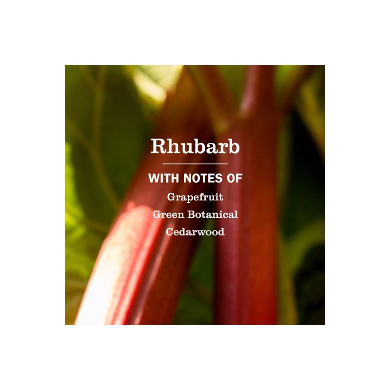 Liquid Hand Soap - Rhubarb Scent - Moisturizing Formula