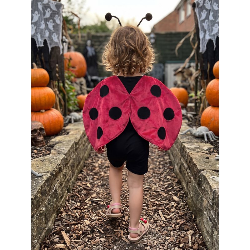 Toddler Girl Boy Ladybug Costume Set with Wings Cape and Headband - Red, 6-12 Months
